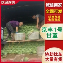 京丰1号甘蓝扁包菜，产地一手货源可供加工厂，对接全国市场