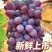 云南弥勒茉莉香葡萄产地直供新品大量上市自家果园现摘