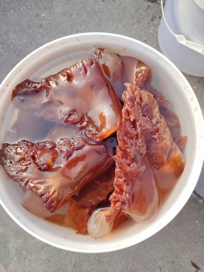 海蜇头红海蜇头海蜇红头源头工厂品质保证欢迎联系