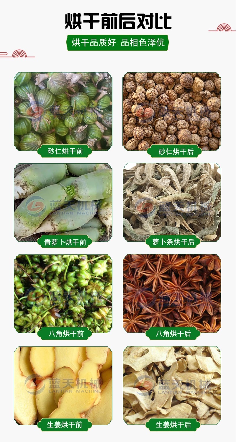 网带砂仁烘干机春砂仁香料砂仁烘干设备毛砂仁壳砂干燥机