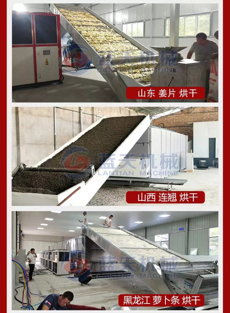 网带草果烘干机红草果烘干设备草果仁草果子老蔻干燥机
