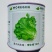 摩尔根3801生菜种子意大利生菜种籽包衣丸粒化半结球生菜