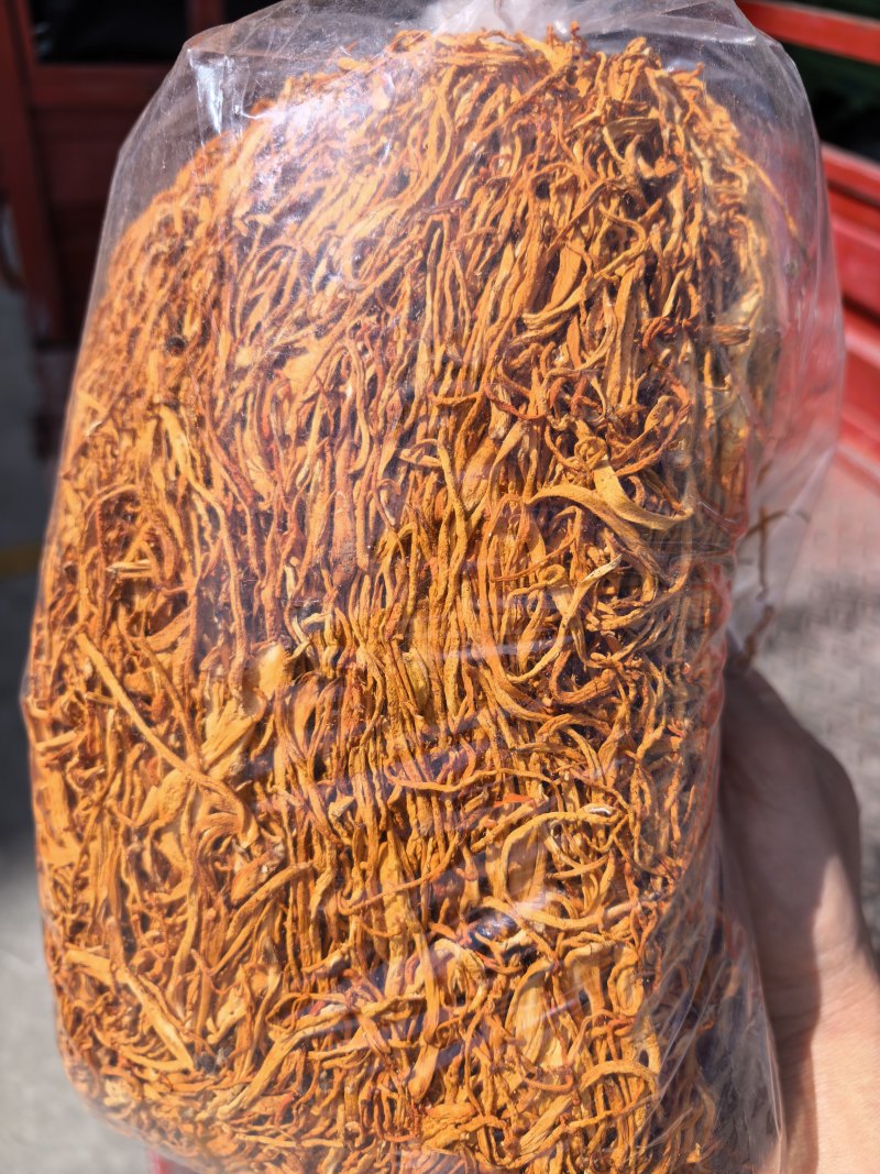 虫草花/北虫草/蛹虫草/精选好货/量大可商议，全国包邮