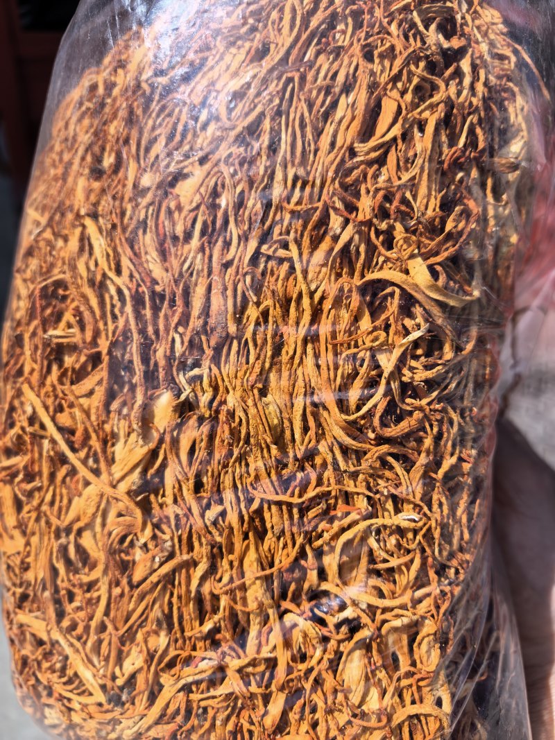 虫草花/北虫草/蛹虫草/精选好货/量大可商议，全国包邮
