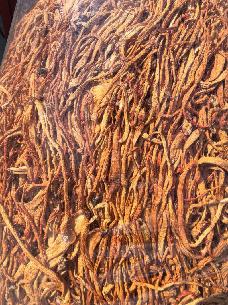 虫草花/北虫草/蛹虫草/精选好货/量大可商议，全国包邮