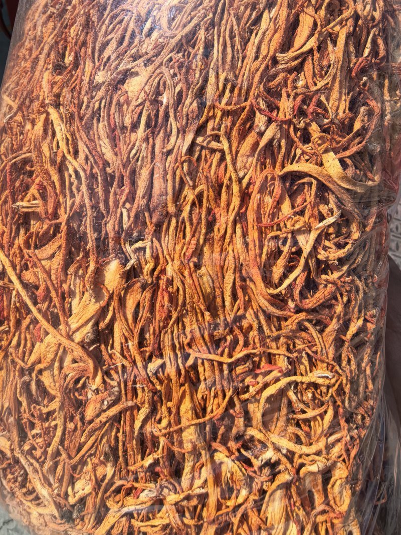 虫草花/北虫草/蛹虫草/精选好货/量大可商议，全国包邮