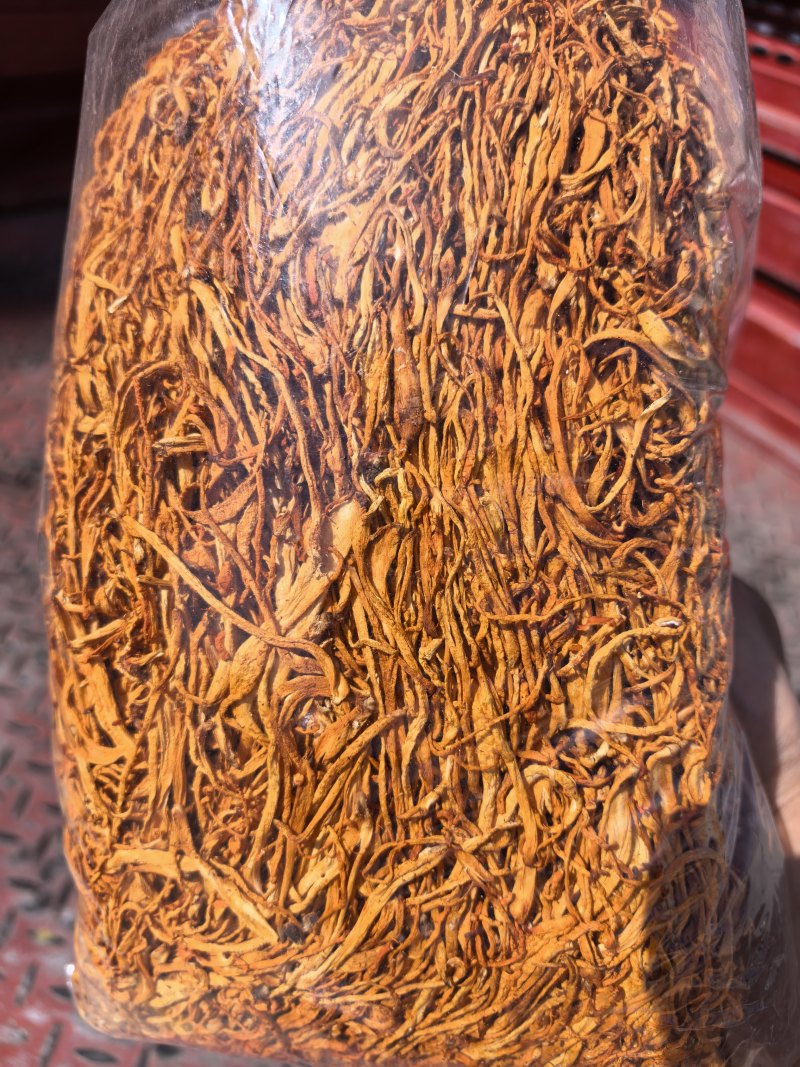 虫草花/北虫草/蛹虫草/精选好货/量大可商议，全国包邮