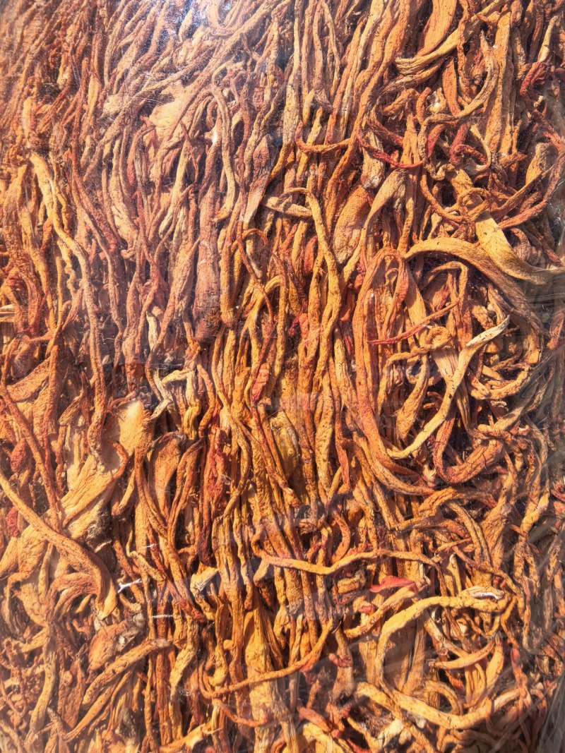 虫草花/北虫草/蛹虫草/精选好货/量大可商议，全国包邮