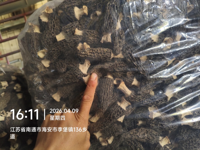 羊肚菌干货，七妹，六妹