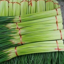 蒜薹