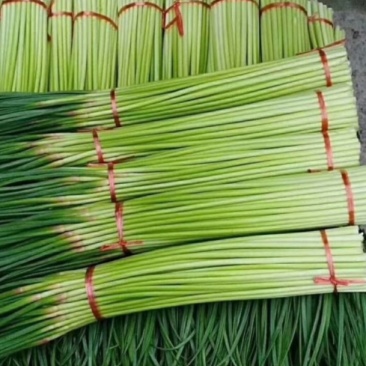 蒜薹