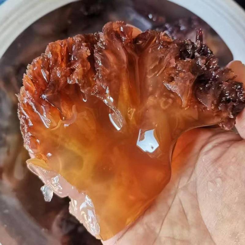渤海湾海蜇头叶片海蜇红头叶片品质保证量大从优