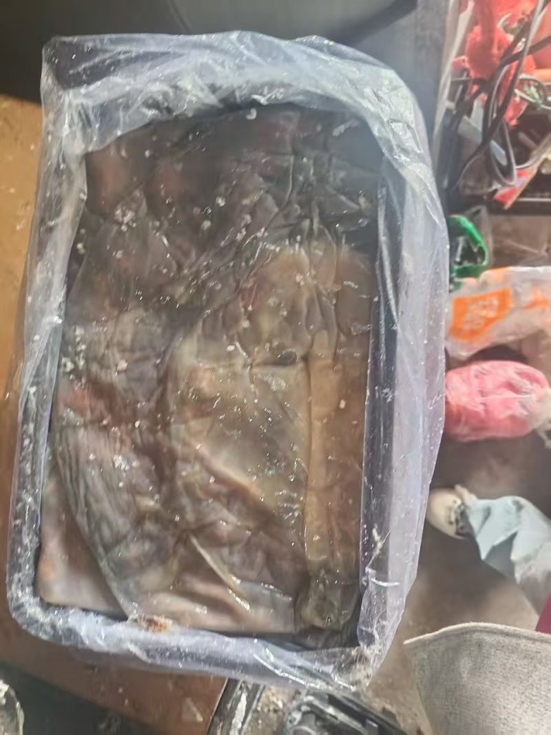 提干海蜇皮提干红皮提干波罗皮一手货源产地直供联系