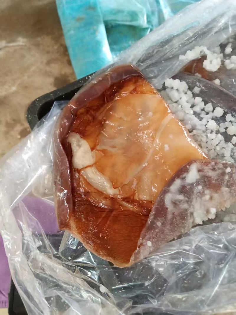 提干海蜇皮提干红皮提干波罗皮一手货源产地直供联系