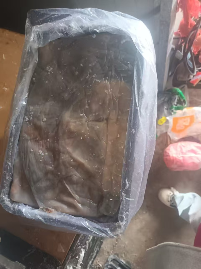 提干海蜇皮提干红皮提干波罗皮一手货源产地直供联系