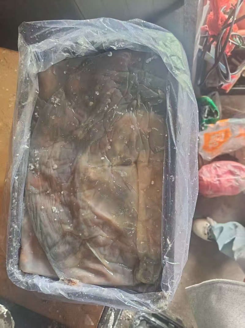 提干海蜇皮提干红皮提干波罗皮一手货源产地直供联系