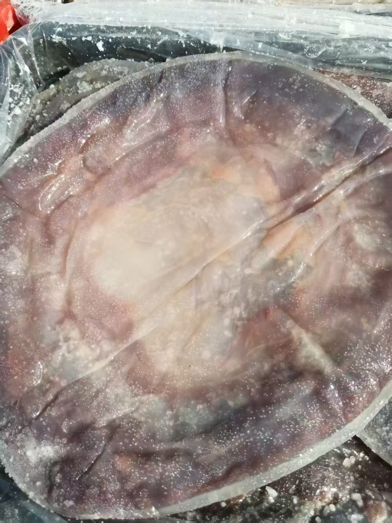 提干海蜇皮提干红皮提干波罗皮一手货源产地直供联系