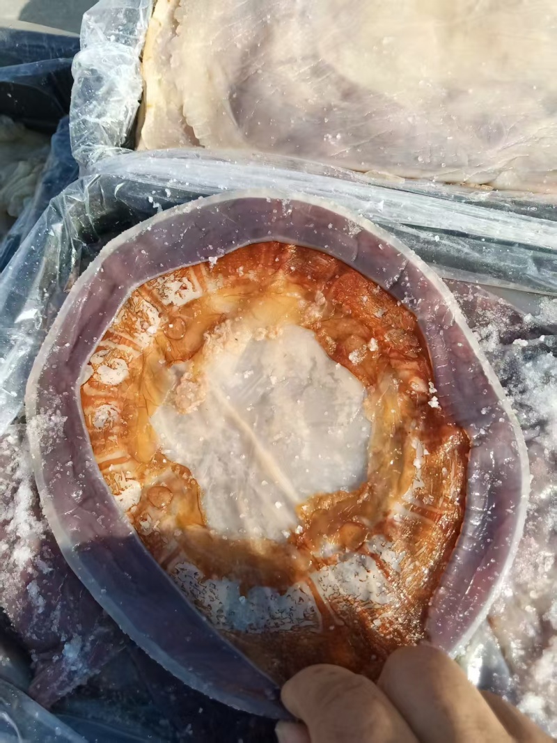 提干海蜇皮提干红皮提干波罗皮一手货源产地直供联系