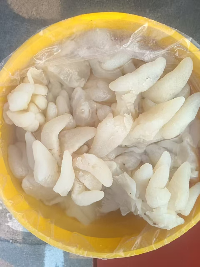 八爪蜇头海蜇头一手货源货量充足品质优良规格齐全