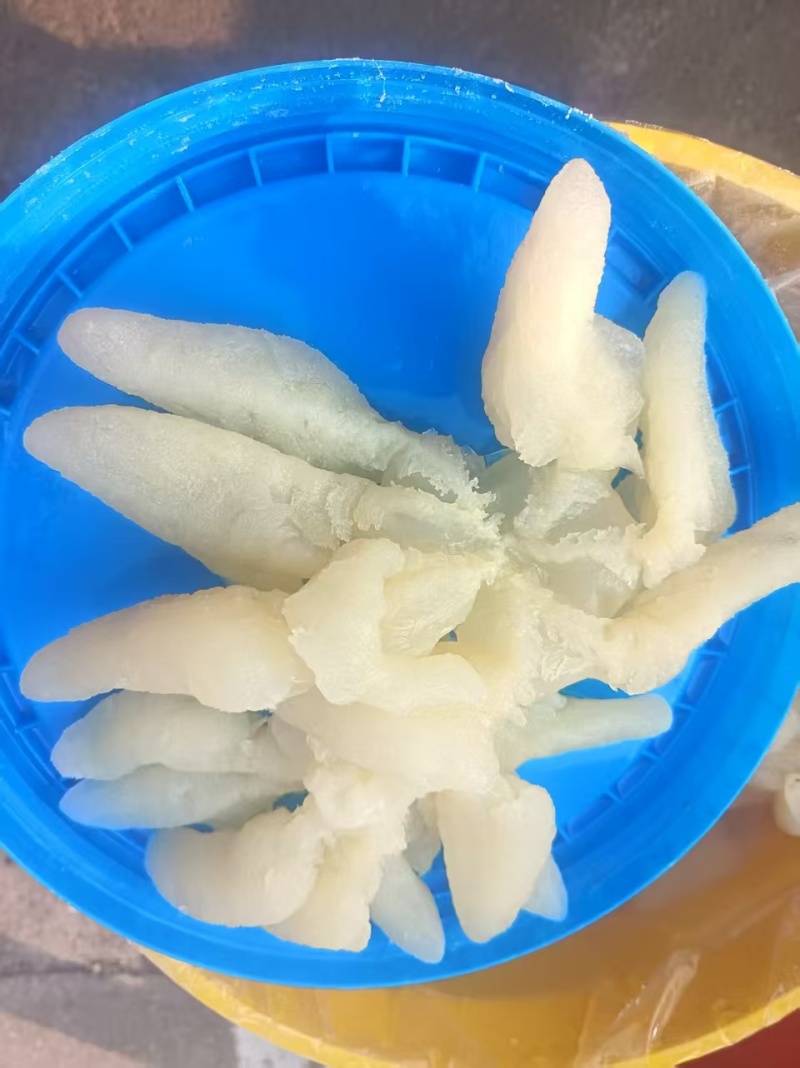 八爪蜇头海蜇头一手货源货量充足品质优良规格齐全