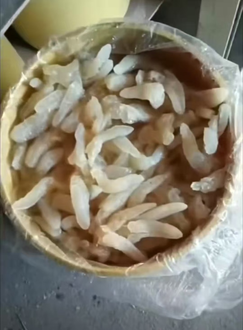 八爪蜇头海蜇头一手货源货量充足品质优良规格齐全