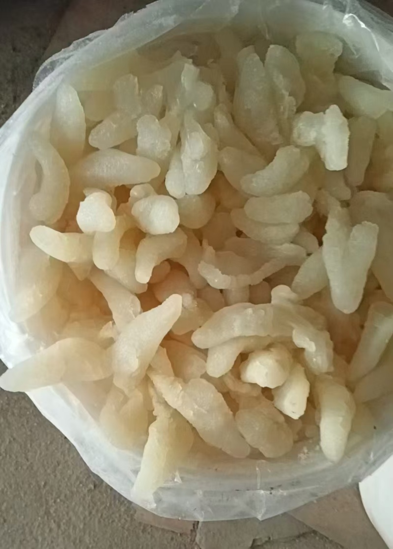 八爪蜇头海蜇头一手货源货量充足品质优良规格齐全