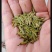 陇南绿茶，马家山龙井四十三，老茶客，私人订制，不做供应商