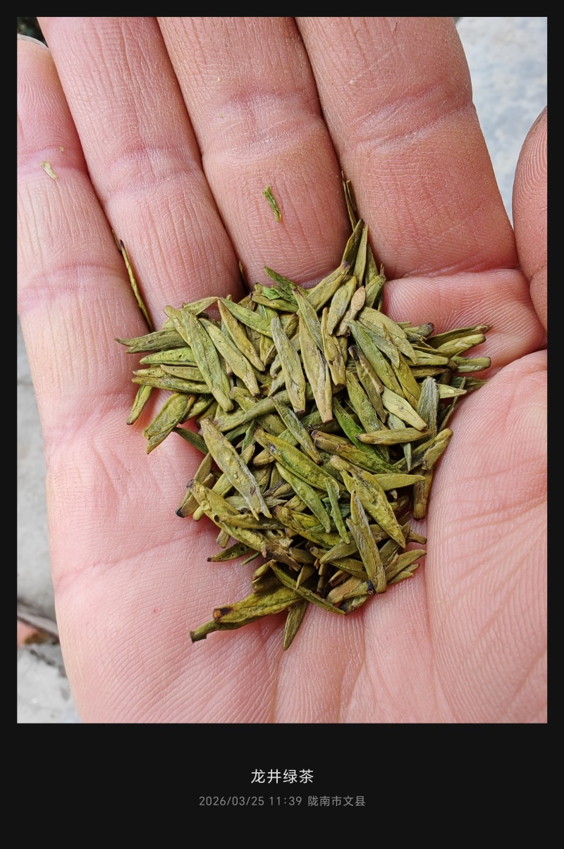 陇南绿茶，马家山龙井四十三，老茶客，私人订制，不做供应商