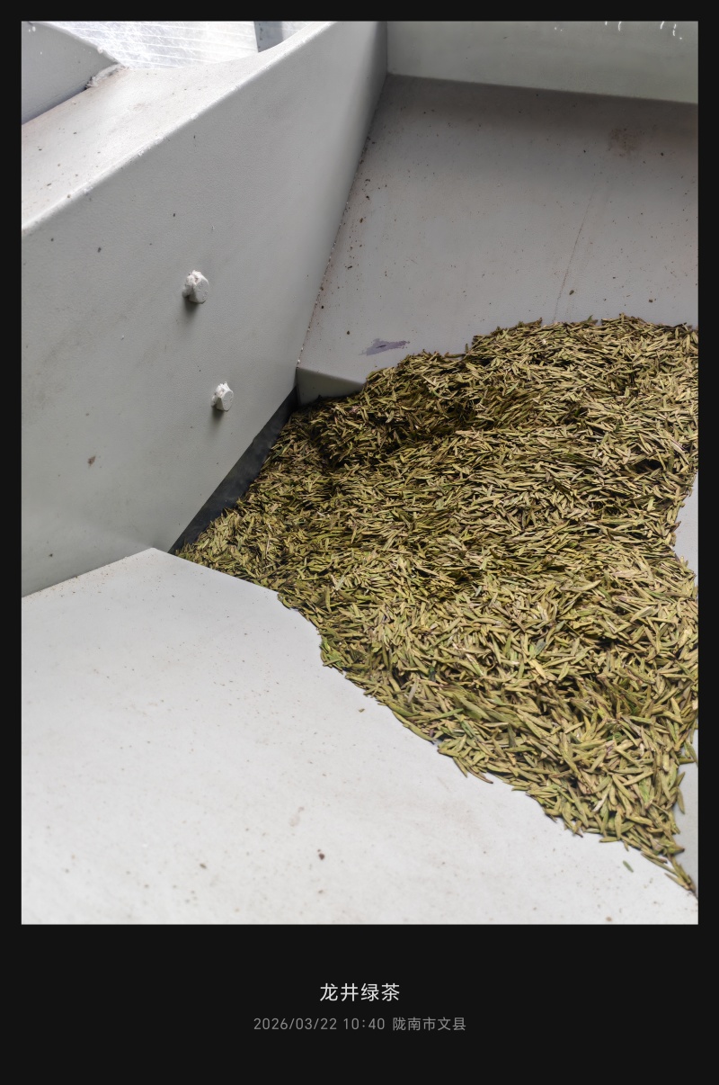 陇南绿茶，马家山龙井四十三，老茶客，私人订制，不做供应商