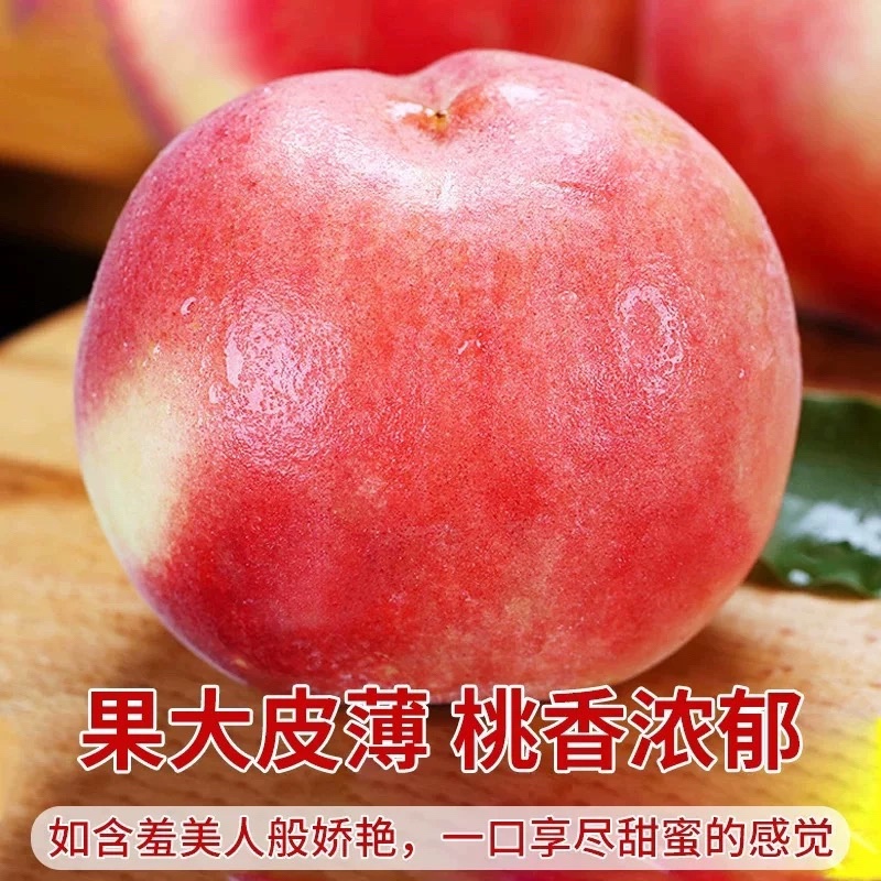 湖北枣阳市新市镇突围水蜜桃5月中下旬上市