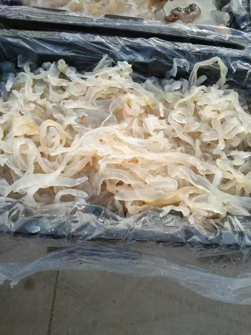 渤海湾沙蜇丝海蜇丝一手货源量大从优酒店凉菜联系