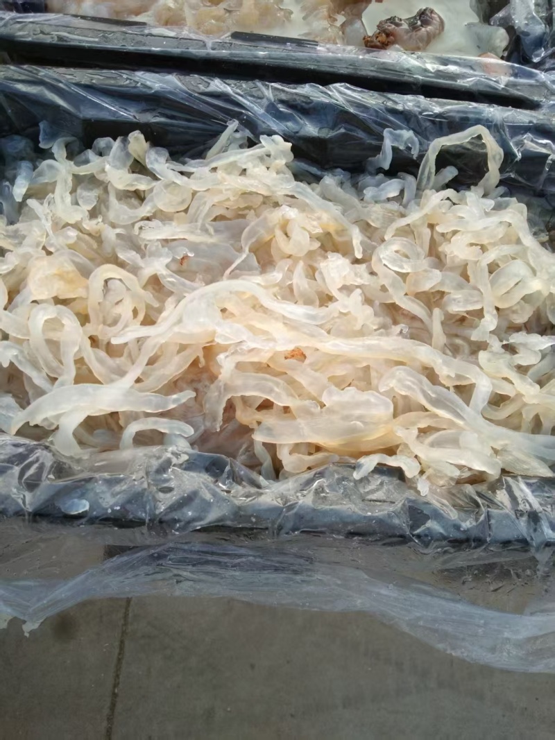 渤海湾沙蜇丝海蜇丝一手货源量大从优酒店凉菜联系