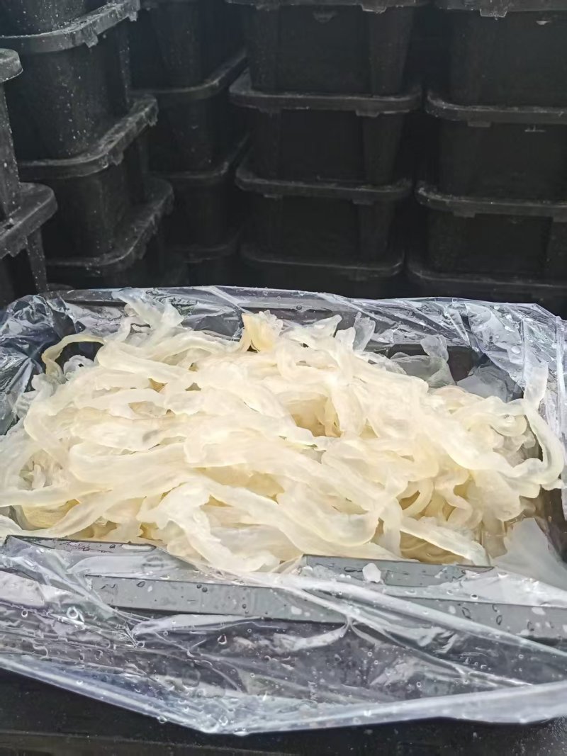 渤海湾沙蜇丝海蜇丝一手货源量大从优酒店凉菜联系