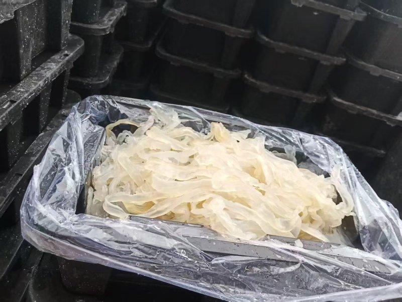 渤海湾沙蜇丝海蜇丝一手货源量大从优酒店凉菜联系