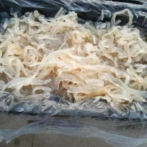 渤海湾沙蜇丝海蜇丝一手货源量大从优酒店凉菜联系