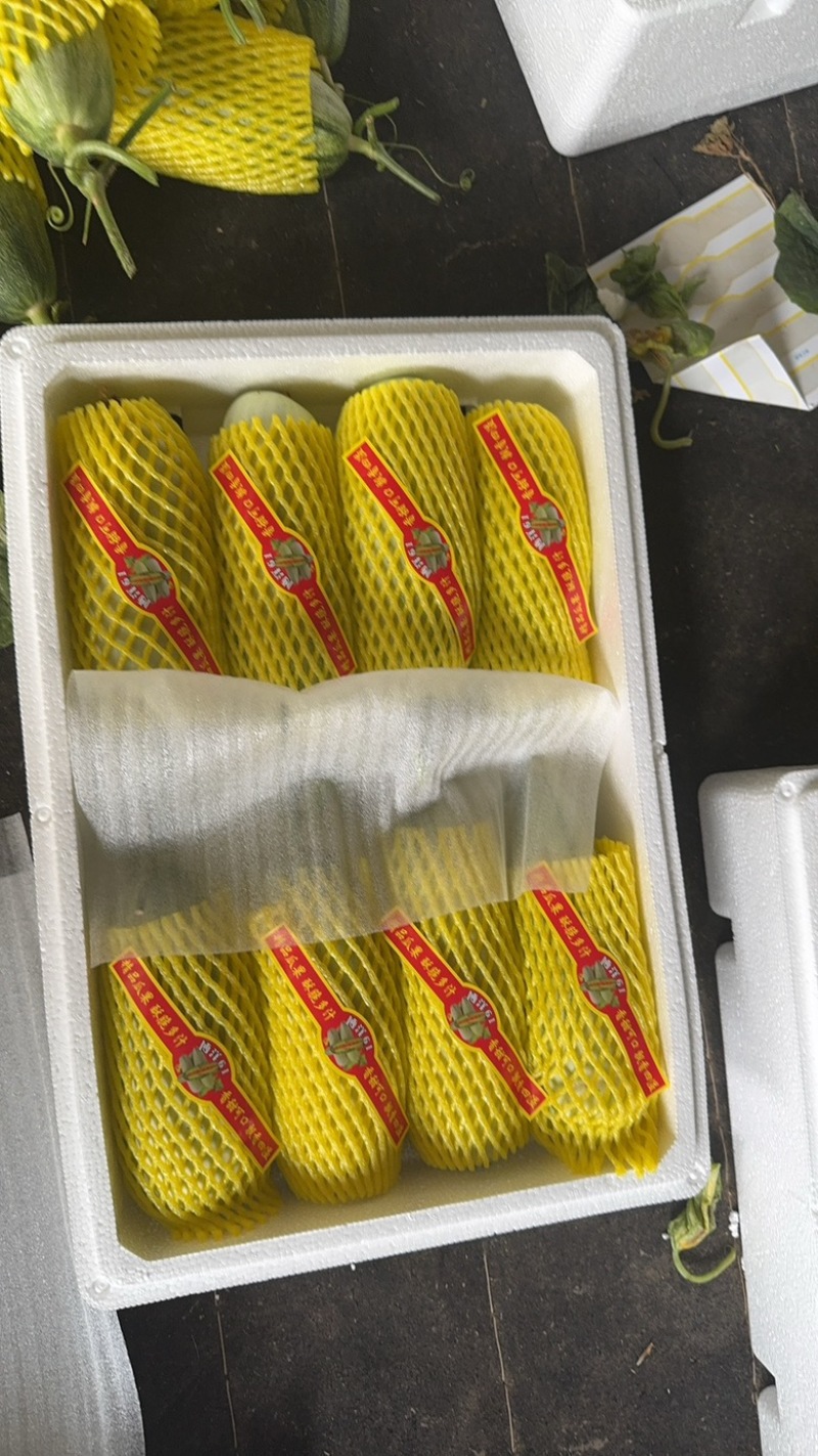 河南甜瓜，博洋六一，羊角蜜，甜瓜，皮薄汁多！