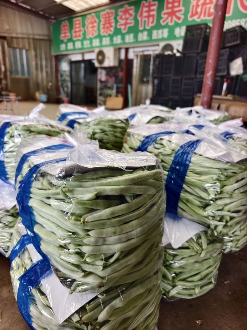 精品白豆大量供应代发全国货源充足欢迎咨询