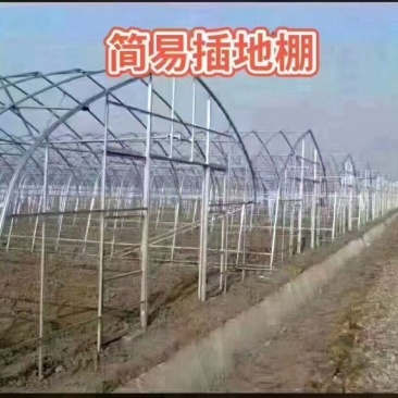 蔬菜大棚，养植大棚，联栋大棚，冷棚暖棚，定尺定做
