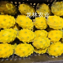 精品燕窝果