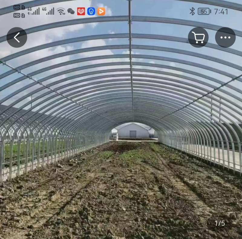 蔬菜大棚，养植大棚，联栋大棚，冷棚暖棚，定尺定做