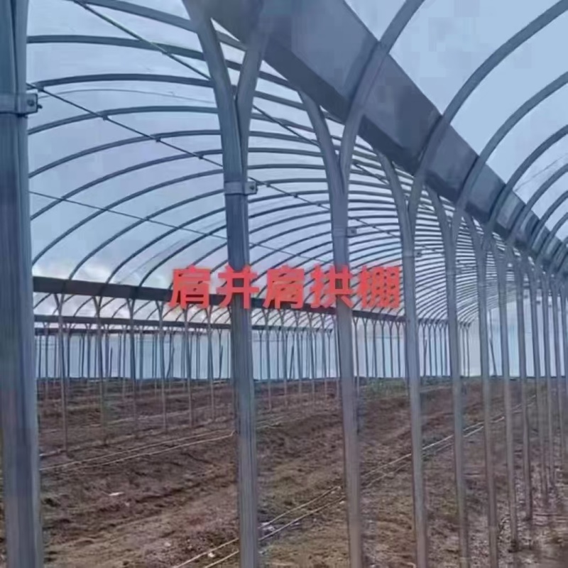 蔬菜大棚，养植大棚，联栋大棚，冷棚暖棚，定尺定做
