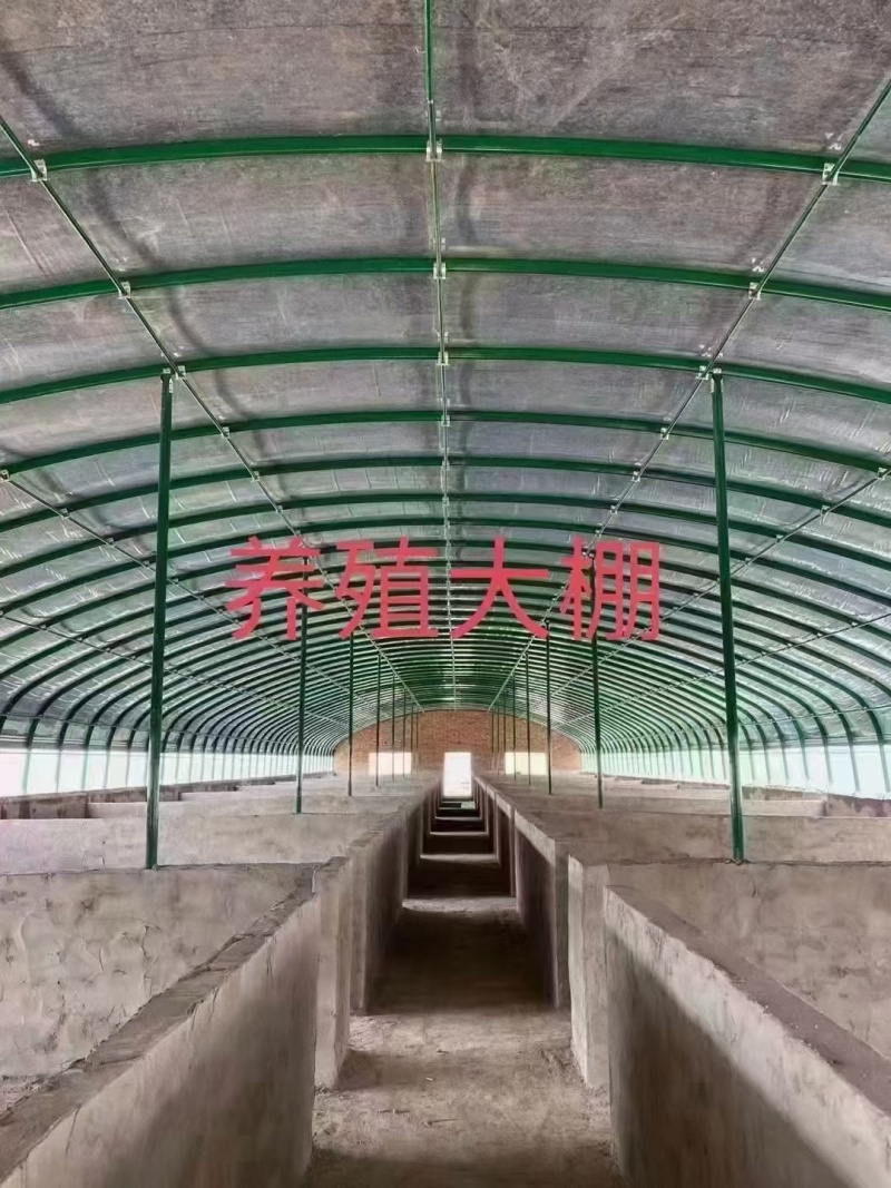 蔬菜大棚，养植大棚，联栋大棚，冷棚暖棚，定尺定做