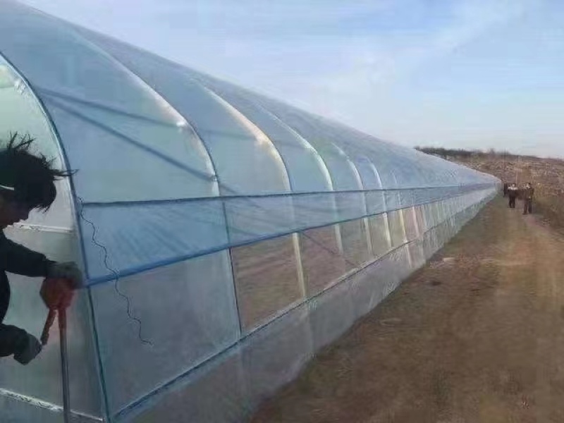 蔬菜大棚，养植大棚，联栋大棚，冷棚暖棚，定尺定做