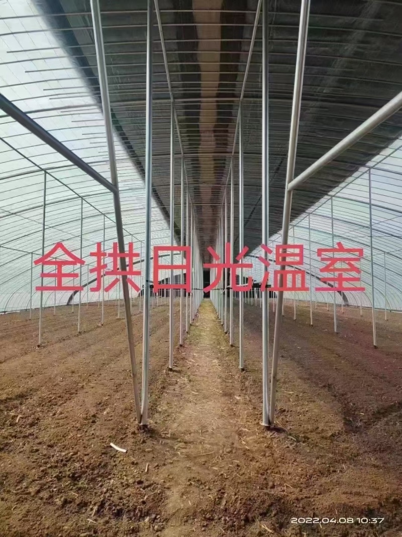 蔬菜大棚，养植大棚，联栋大棚，冷棚暖棚，定尺定做