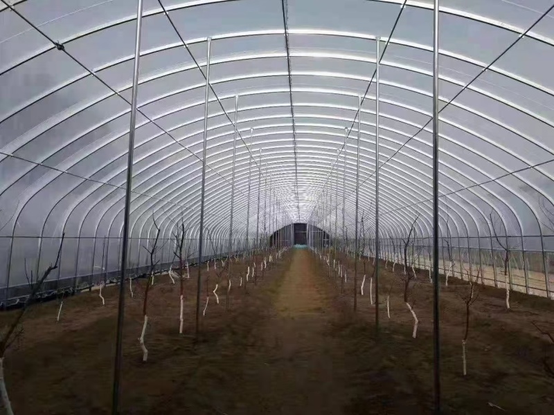 蔬菜大棚，养植大棚，联栋大棚，冷棚暖棚，定尺定做