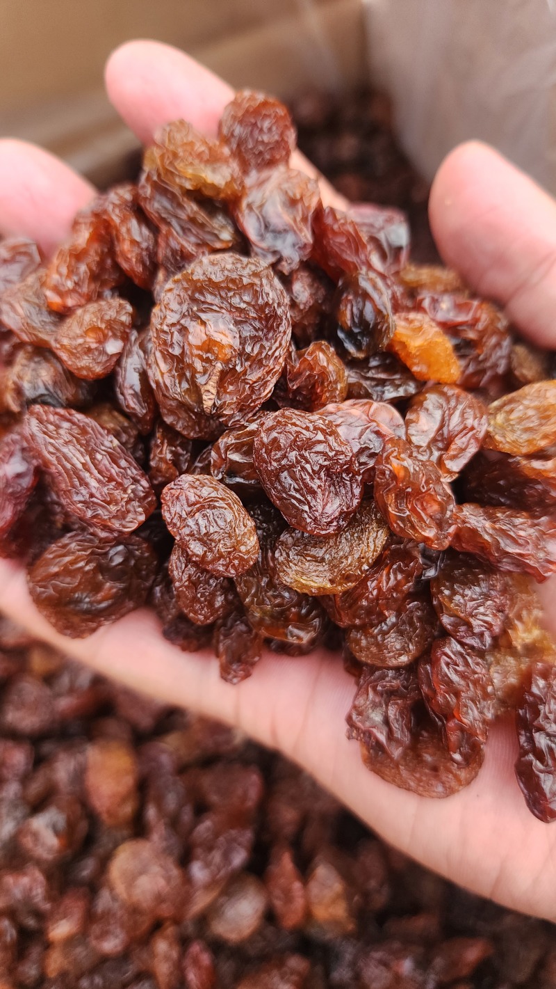 阳光玫瑰红葡萄干有两种阳光玫瑰红葡萄干一种是不带籽