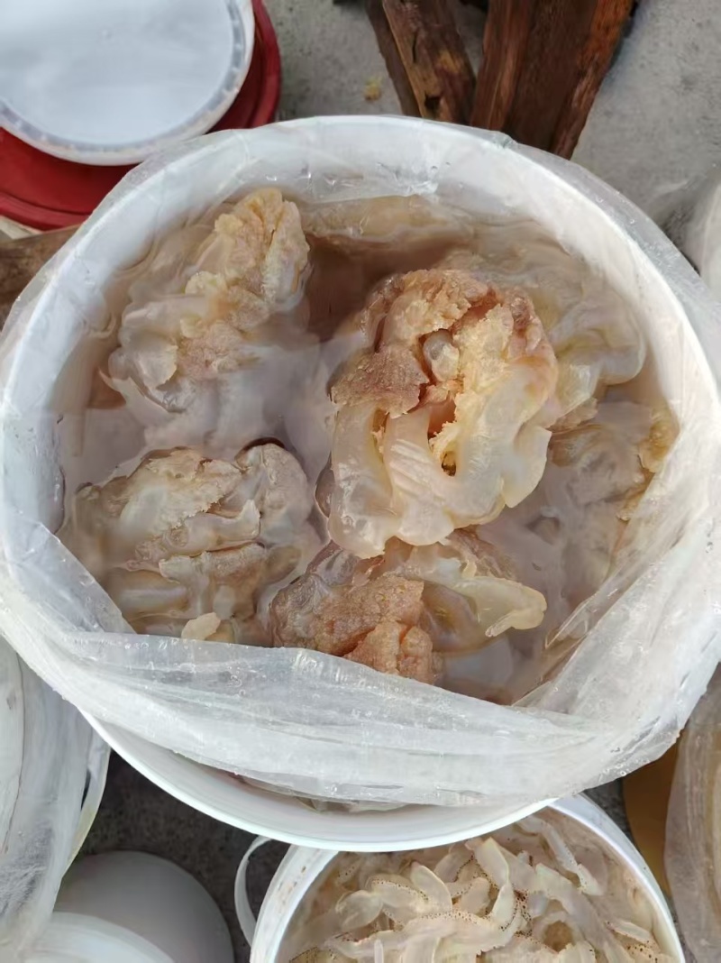 海蜇印尼头海蜇头一手货源量大从优价格实惠欢迎联