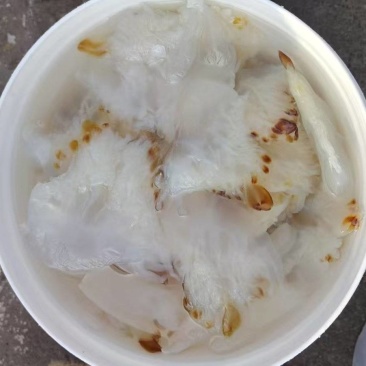 海蜇花海蜇头长花短花都有量大从优货源充足欢迎联