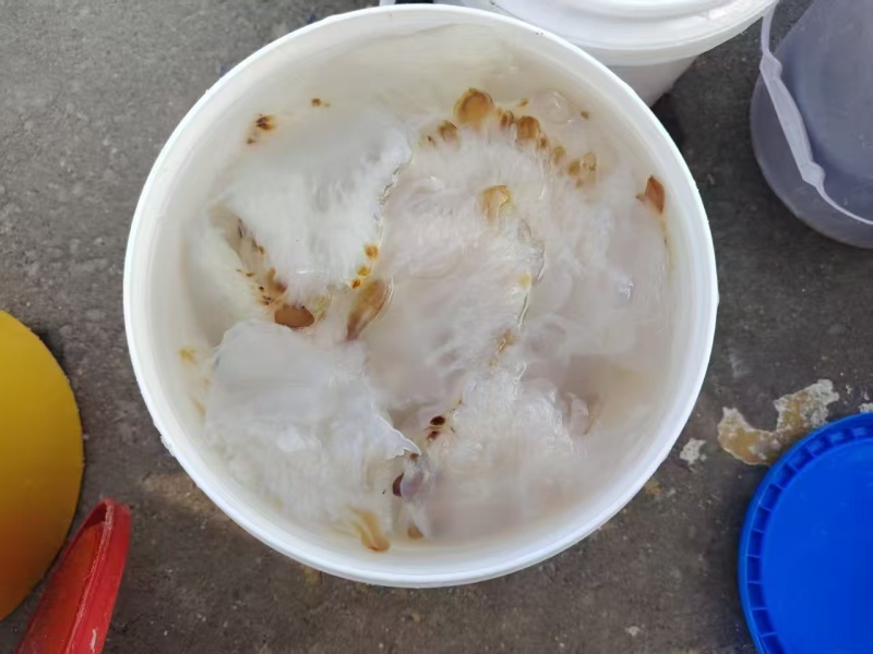 海蜇花海蜇头长花短花都有量大从优货源充足欢迎联