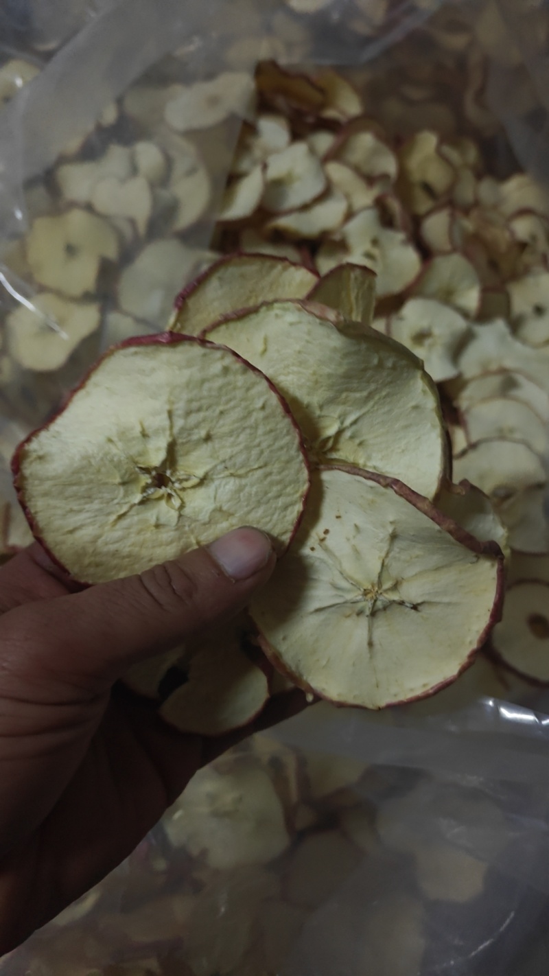 河北巨鹿县水果茶加工